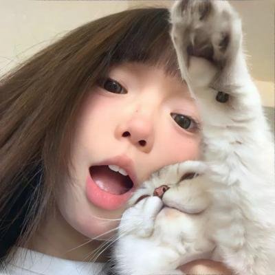 海狸